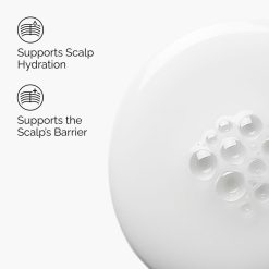 Alternative view of Natural Moisturizing Factors + HA for Scalp