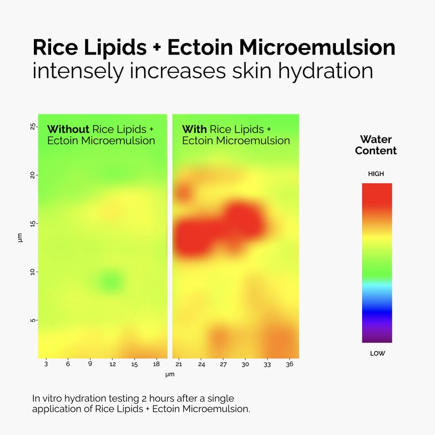 Rice Lipids + Ectoin Microemulsion - Image 2