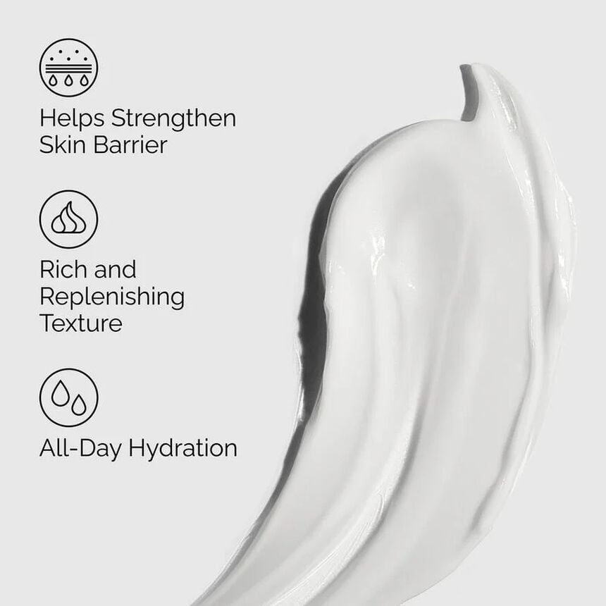 Natural Moisturizing Factors + PhytoCeramides - Image 2